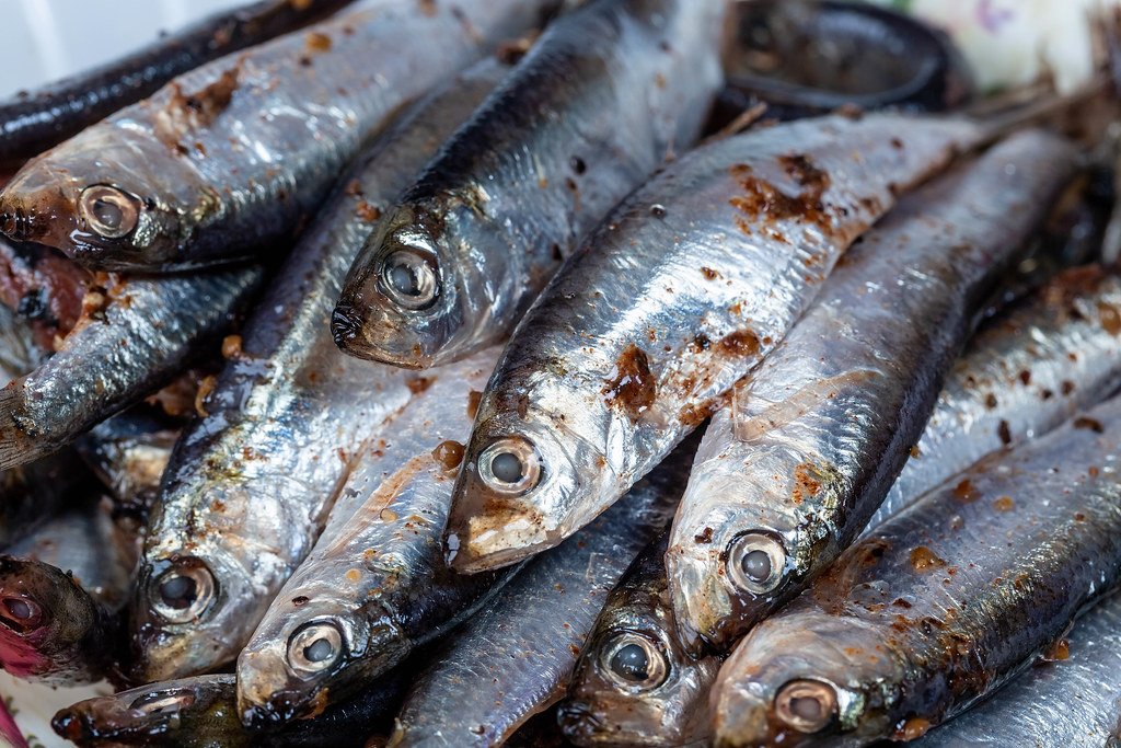 FRIED MARINATED SARDINE PAIRS gardening ideas